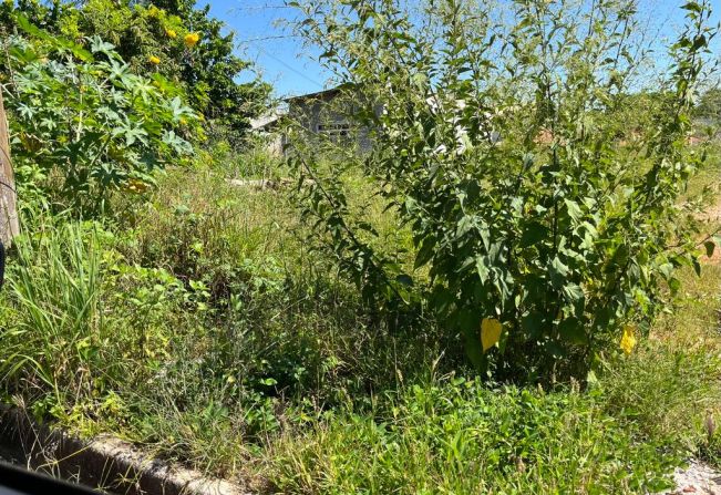 Prefeitura de Pompeia intensifica fiscalização em terrenos com mato alto