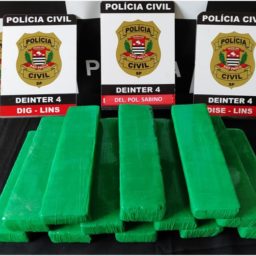 Polícia intercepta em Marília jovem que transportava 12 tijolos de maconha