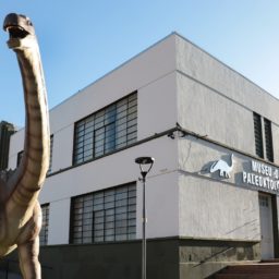 Museu de Paleontologia de Marília completa 19 anos de atividades