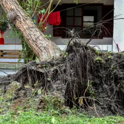 Especialista explica influência da ação humana nos extremos climáticos