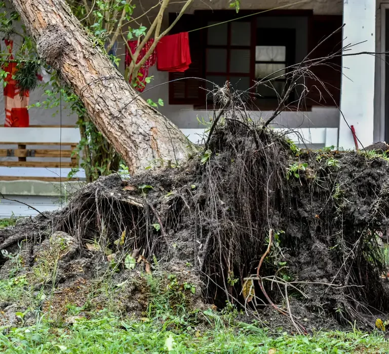 Especialista explica influência da ação humana nos extremos climáticos