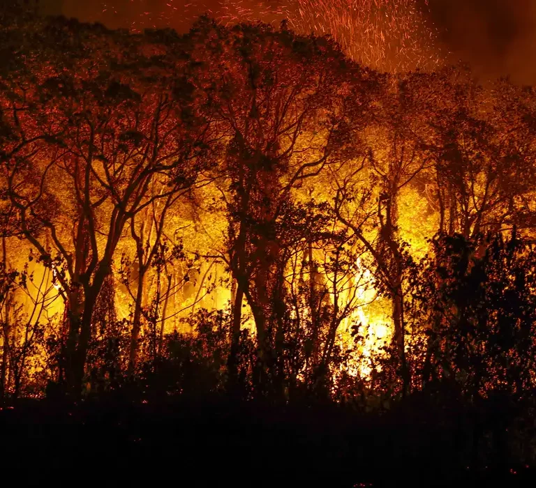 Pantanal tem recorde histórico com mais de três mil incêndios em novembro