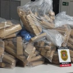 PM detém casal que armazenava mais de 300 quilos de maconha com R$ 16,7 mil