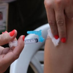 Ministério da Saúde incorpora vacina contra a dengue no Sistema Único de Saúde