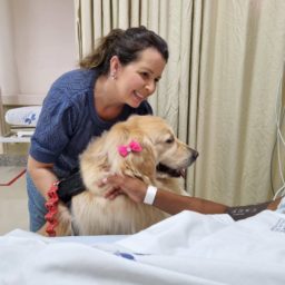 “O que eu recebo é a felicidade”, diz voluntária com cão terapeuta Minnei