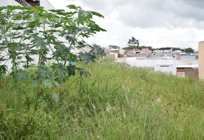 Tributação de Pompeia aplica multas em terrenos com mato alto e falta de manutenção
