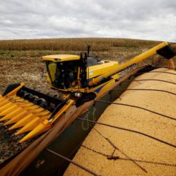 Isenção de Imposto de Renda para elite rural triplica em cinco anos no Brasil