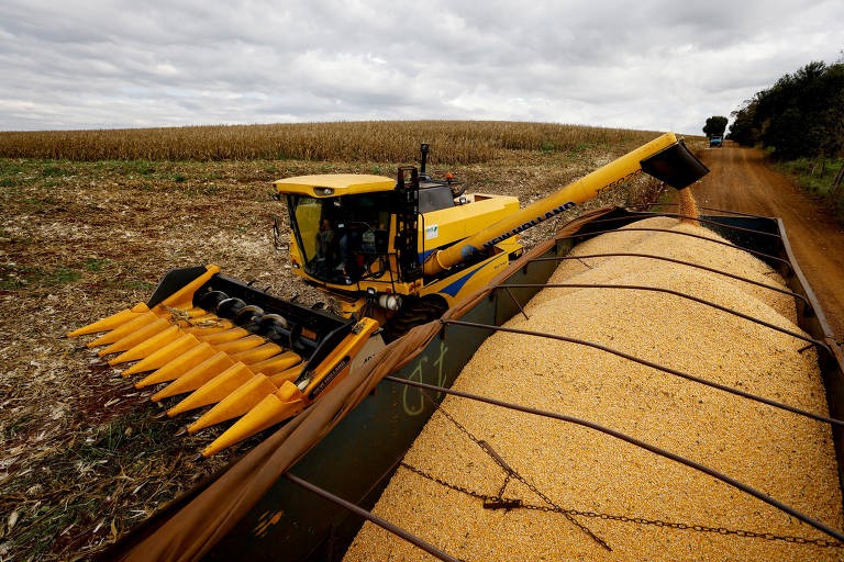 Isenção de Imposto de Renda para elite rural triplica em cinco anos no Brasil