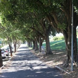 Grupo realiza caminhada para promoção e debate sobre saúde mental em Marília