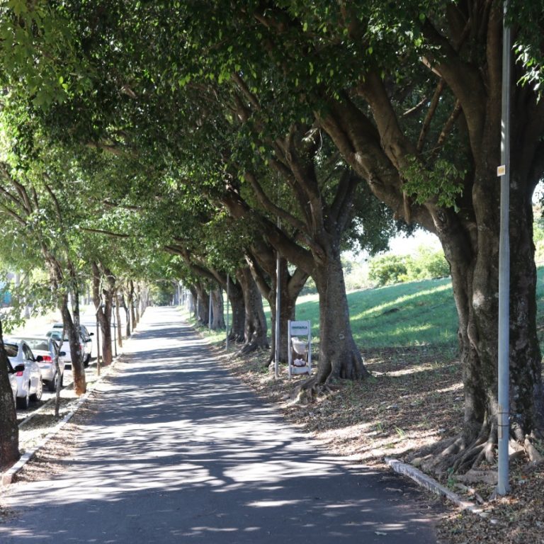 Grupo realiza caminhada para promoção e debate sobre saúde mental em Marília