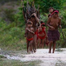 Forças Armadas do Brasil vão levar 15 mil cestas de alimentos aos Yanomami