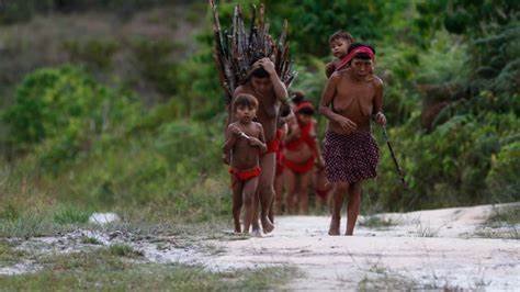 Forças Armadas do Brasil vão levar 15 mil cestas de alimentos aos Yanomami