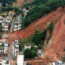 Drones com sementes de árvore vão recuperar áreas de deslizamento de terra