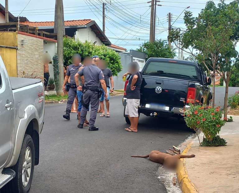 Defensores de animais pressionam e pedem prisão de acusado de matar pitbull