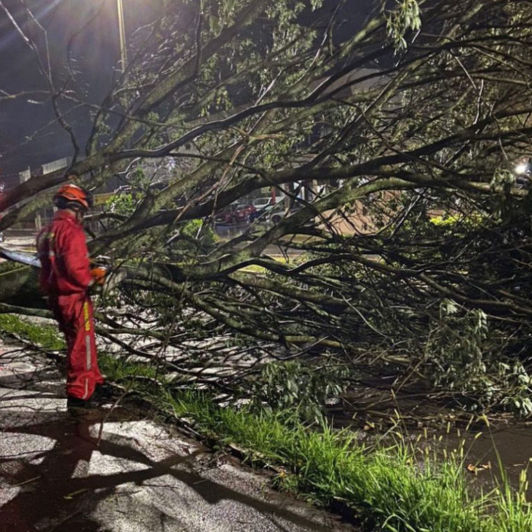 Temporal causa transtornos em vários pontos de Marília