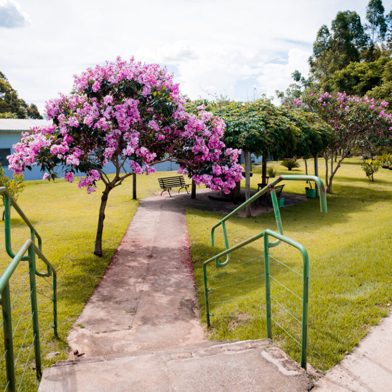 Centro de recuperação em Vera Cruz vira esperança para dependentes químicos