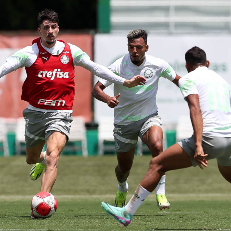 Líder do grupo B, Palmeiras visita o Santo André nesta segunda-feira pelo Campeonato Paulista