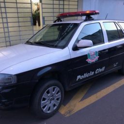 Cavalos são furtados de haras na zona oeste de Marília