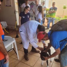 Ação inédita da Prefeitura imuniza cães de moradores em situação de rua