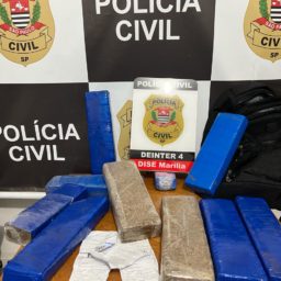 Mulher desembarca com 10 tijolos de maconha na rodoviária