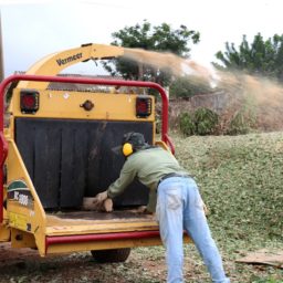 Trituradora de galhos gera economia no serviço público e adubo para moradores da cidade