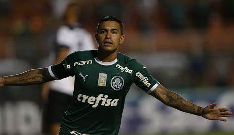 Dudu inicia progressão para campo e já tem prazo de retorno no Palmeiras