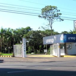 Pesquisa da Unesp analisa perfil de pessoas que sofreram AVC em Marília