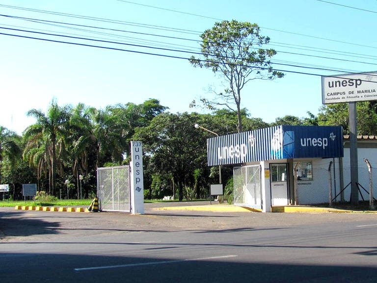 Pesquisa da Unesp analisa perfil de pessoas que sofreram AVC em Marília