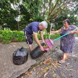 Casal da zona norte mantém área verde limpa e são exemplo para comunidade