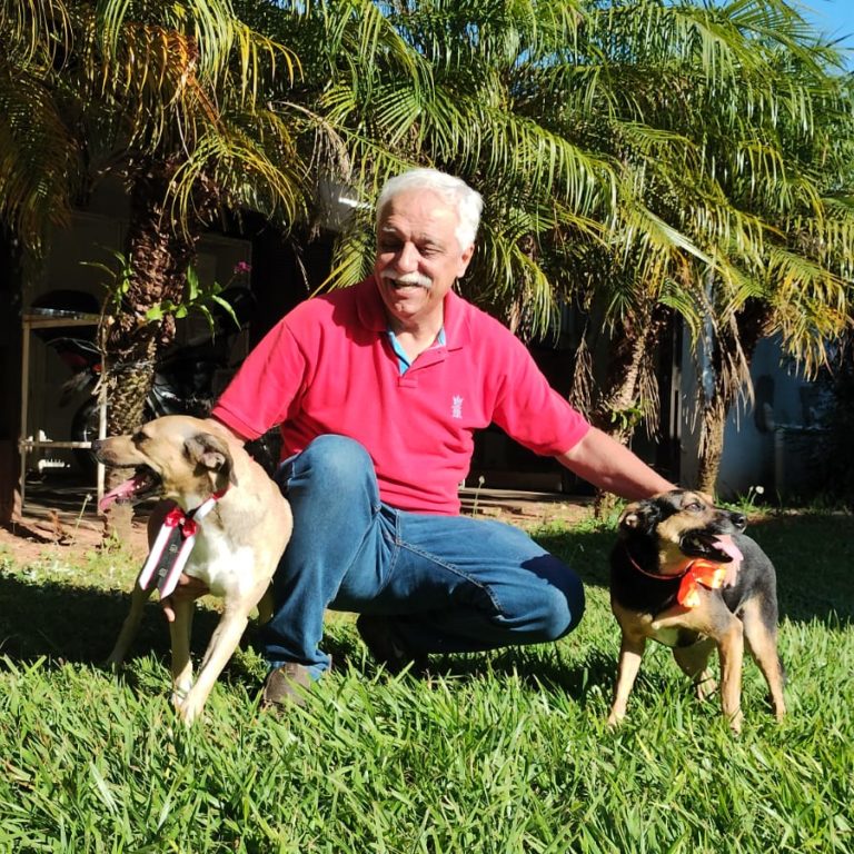 Campanha comercializa cartelas de ovos em prol dos animais de rua de Marília