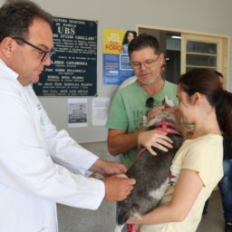 Prefeitura de Marília promove vacinação contra a raiva em cães e gatos no sábado