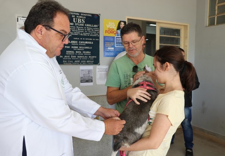 Prefeitura de Marília promove vacinação contra a raiva em cães e gatos no sábado