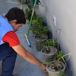 Plano contra dengue conta com mais de 400 profissionais e ações efetivas