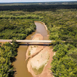 Pantanal deve passar pela pior seca da história em 2024, estimam ambientalistas