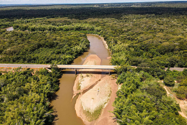 Pantanal deve passar pela pior seca da história em 2024, estimam ambientalistas