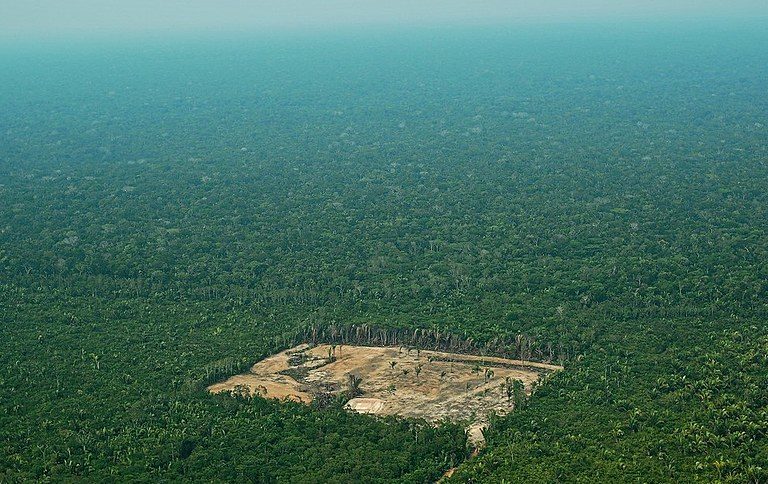 Alertas de desmatamento na amazônia apresentam redução de 30% em fevereiro