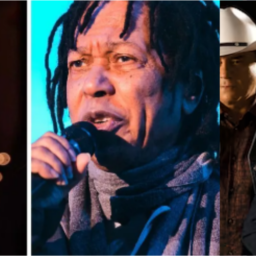 Djavan, Chitãozinho e Xororó e Alcione fazem shows no Festival Turá em SP