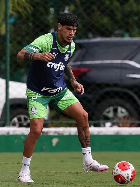 Gustavo Gómez inicia transição física e fica próximo de retorno no Palmeiras