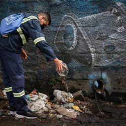 Número de mortes por dengue no Estado de São Paulo sobe para 78