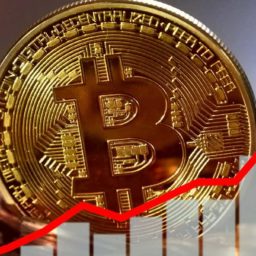 Três motivos que explicam a disparada do bitcoin no ano de 2024