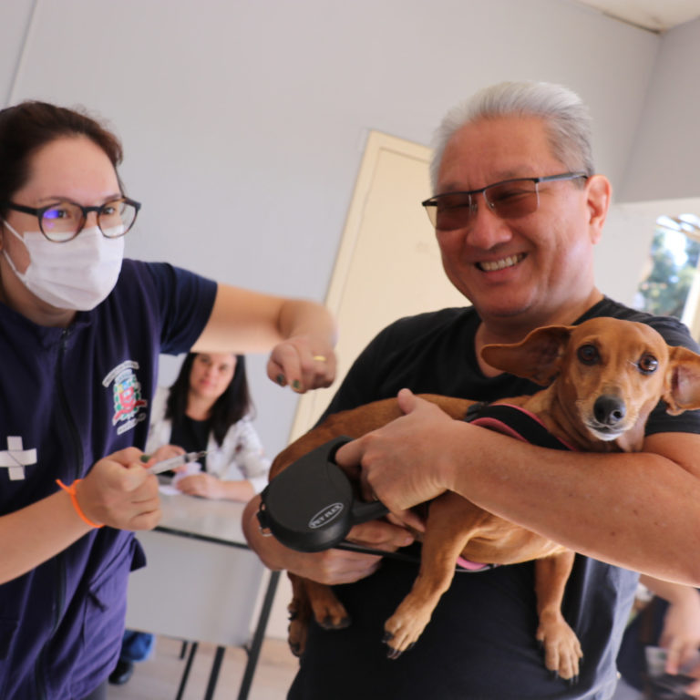 Marília tem nova ação de vacinação contra a raiva em cães e gatos neste próximo sábado