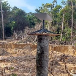 Ação em terra Yanomami apreende materiais do garimpo e antenas de Musk