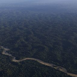 Desmatamento na amazônia vem diminuindo há meses e cai 42% no primeiro trimestre
