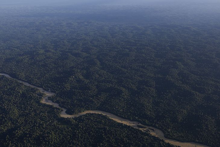 Desmatamento na amazônia vem diminuindo há meses e cai 42% no primeiro trimestre