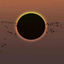 Eclipse solar total como o desta segunda (8) só será visto no Brasil em 2045