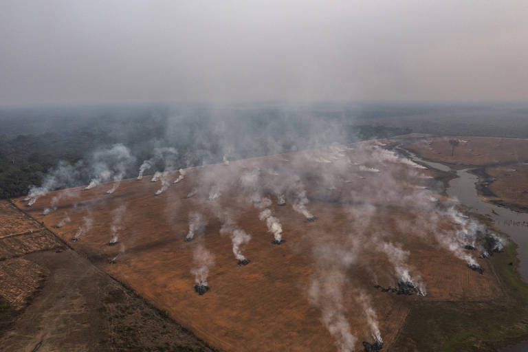 Estados da Amazônia negociam créditos de carbono e se antecipam a Congresso