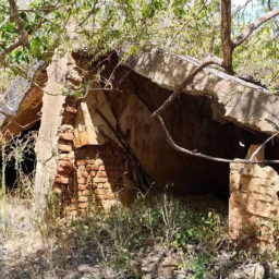 Funai mantém posição de Bolsonaro e caso de ‘campo de concentração’ fica parado