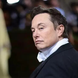 Musk sai como um dos grandes vencedores da eleição estadunidense