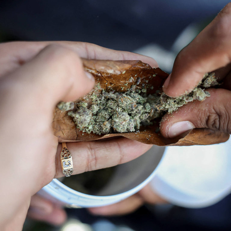 Presidente dos Estados Unidos Joe Biden recorre à maconha para ganhar jovens de volta