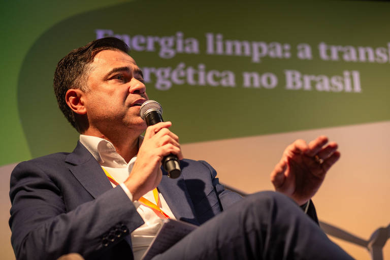 Precisamos reduzir subsídios, diz chefe da Aneel dois dias após governo ampliar subsídios